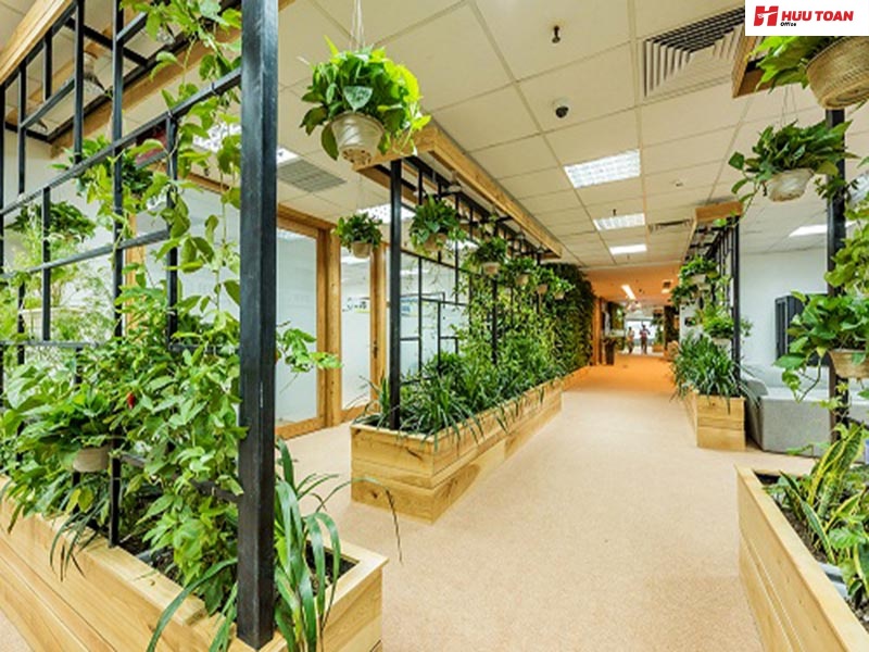 7 Cách trang trí cây xanh văn phòng đẹp phong thủy
