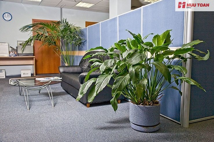 10. Decor văn phòng công ty bằng cây xanh