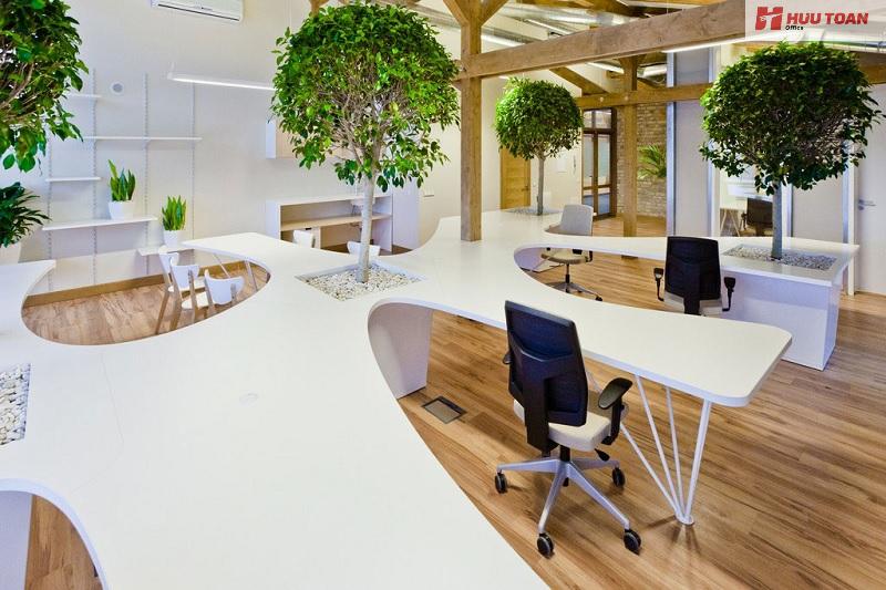Mẫu phong cách Eco trong văn phòng