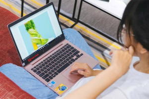 Ưu nhược điểm của laptop nhỏ gọn cho dân văn phòng