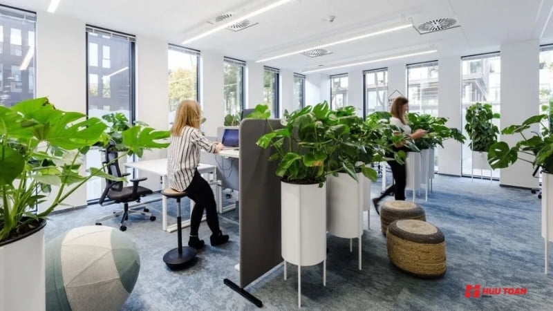 Văn phòng xanh sạch đẹp: Xu hướng thiết kế hiện đại, thân thiện với môi trường Tận dụng ánh sáng tự nhiên